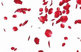 Image result for Victoria's Secret Velvet Petals Shimmer