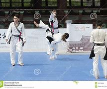 Image result for Korean Martial Arts Master Sang Bok Chung