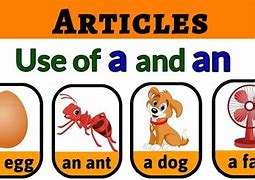 Image result for Article 6 for Kids