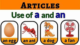Image result for Article 6 for Kids