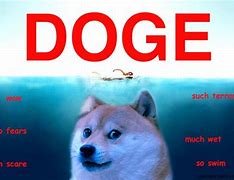 Image result for Dogge Insta Meme