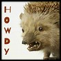 Image result for Bad Taxidermy Calendar