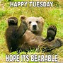 Image result for Tuesday Pet Meme