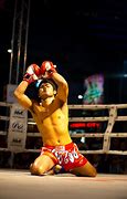 Image result for Muay Thai Fight