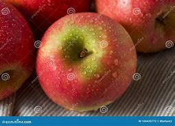 Image result for Red Lady Apple