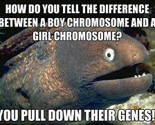 Image result for What's the Differences Between a Chromosome Jokes