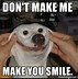 Image result for Smile Serious Face Meme