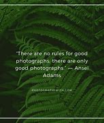 Image result for Quotes for Photographers