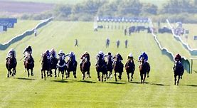 Image result for Flat Racing
