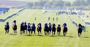 Image result for Flat Racing