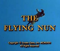 Image result for Flying Nun Meme