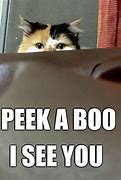 Image result for Peek A Boo Mame