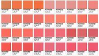 Image result for Coral Pink Color Pantone