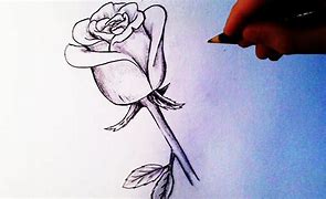 Image result for How to Draw a Rose Sketch
