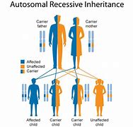 Image result for Proto Genetic Inheritance