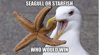 Image result for Starfish Mouth Meme