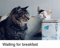 Image result for Me Waiting for Breakfast Meme