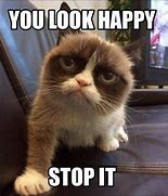 Image result for Kid Grumpy Cat Memes