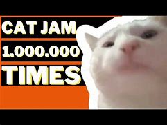 Image result for Cat Jam Meme
