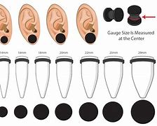 Image result for Size 2 Ear Gauges