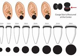 Image result for Ear Gauges Size 0