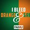 Image result for FAMU Football Game Colors