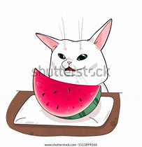 Image result for Silly White Cat Meme