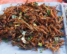Image result for BBQ Bugs