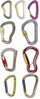 Image result for Carabiner Types