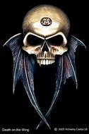 Image result for Alchemy Gothic Skull