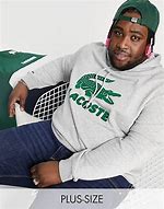 Image result for Lacoste Hoodie Logo