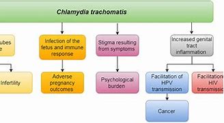 Image result for STI Chlamydia