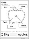 Image result for Kindergarten Apple Worksheets