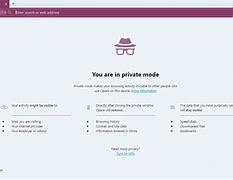 Image result for Opera Private Browsing