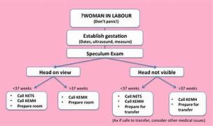 Image result for Recover CPR Algorithm