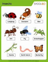 Image result for Count the Insects Worksheet