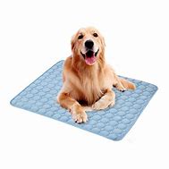 Image result for Cold Mat for Dogs