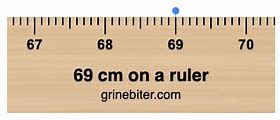 Image result for 69 Centimeter Ruler Printable