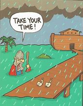 Image result for Noah's Ark Funny Cartoons