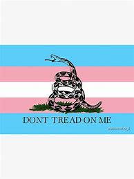 Image result for Don't Tread on Me Flag