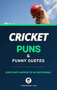 Image result for Funny Cricket Quotes Wicket