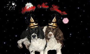 Image result for Dogs Saying Happy New Year