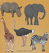 Image result for African Animals to Draw