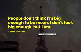 Image result for Brian Urlacher