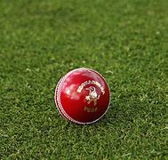 Image result for World Cup 4 Cricket Team