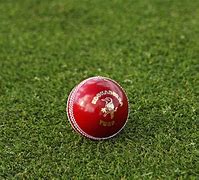 Image result for AUS Cricket