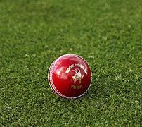 Image result for Cricket World Cup L2023