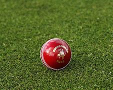 Image result for Pic of Cricket