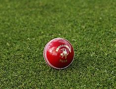Image result for Cricket Match