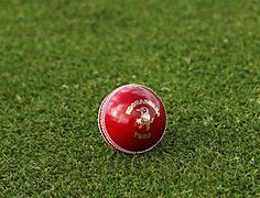 Image result for NZ Cricket Team